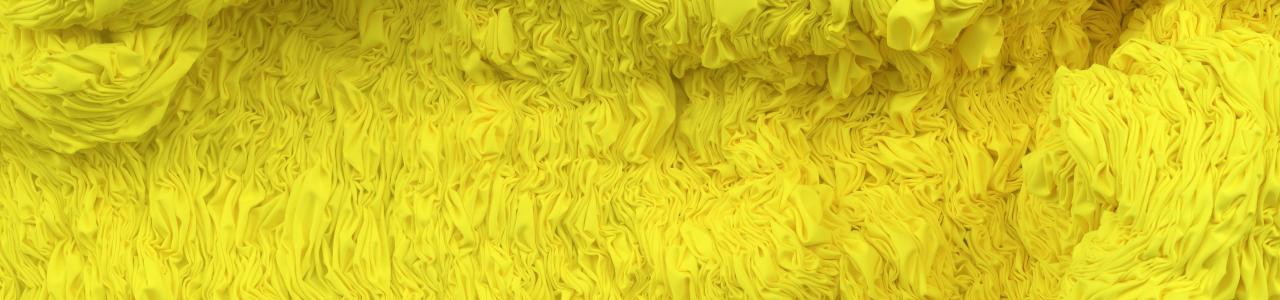 Hanne Friis, Masse-gul (utsnitt). Foto: Dag Fosse